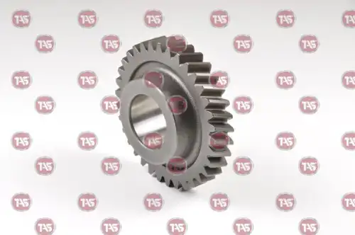 Шестерня КПП TAS T08510