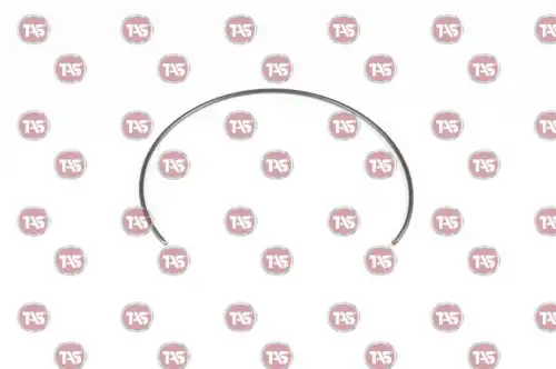 T14487 КОЛЬЦО ПРУЖИННОЕ 1+2G TAS