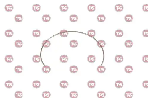 T14489 КОЛЬЦО ПРУЖИННОЕ TAS