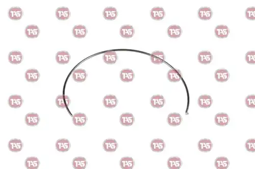 T14493 КОЛЬЦО ПРУЖИННОЕ TAS