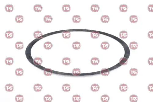 шайба КПП MB T19633 TAS