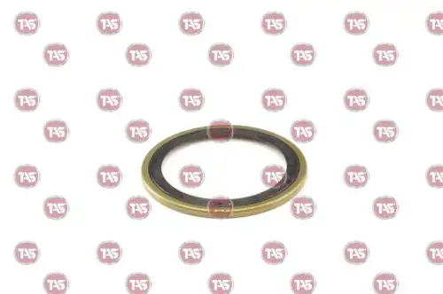 T20699 САЛЬНИК (79X105,1X5,3) TAS