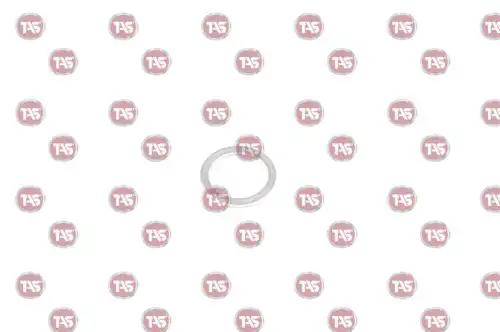 T21677 Шайба 18X24, ZF 0634801062 TAS