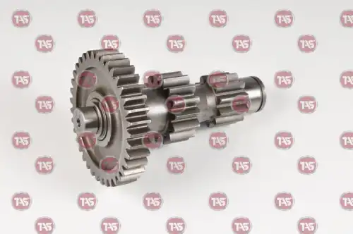 0 T07878 TAS