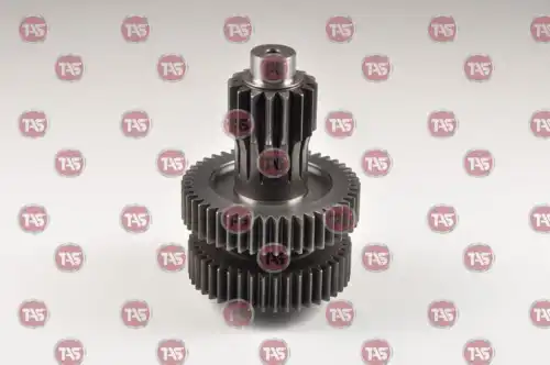 t15172 tas