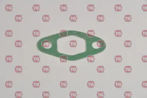 Уплотнение T21547 TAS