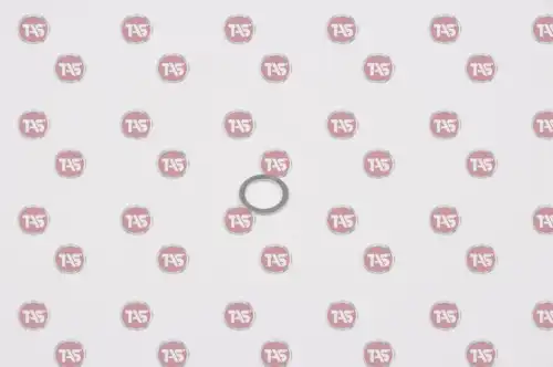 Шайба 10х14 T21662 TAS