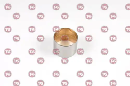 Сальник дифф T09017 TAS
