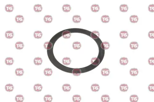 шайба шестерни дифференциала левая Scan T20795 TAS