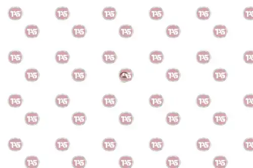 фиксатор синхронизатора Scan T38679 TAS