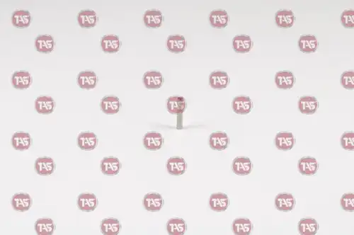 t16893 tas