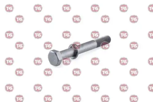 t19207 tas