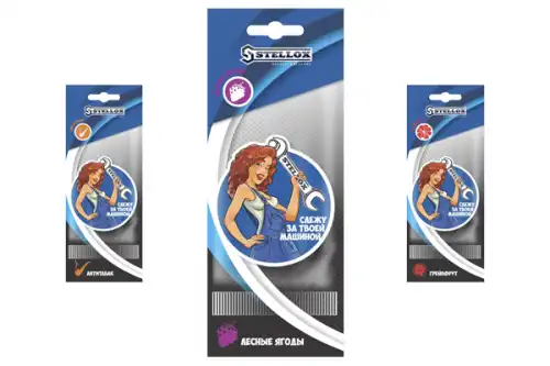 STELLOX 79-99905-SX картонный