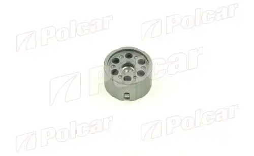 POLCAR 500024911