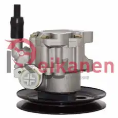 Насос гидроусилителя руля REIKANEN P0310A