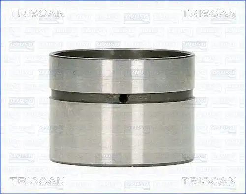 Гидрокомпенсатор TRISCAN 80-11000