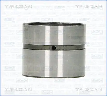 Гидрокомпенсатор TRISCAN 80-24002