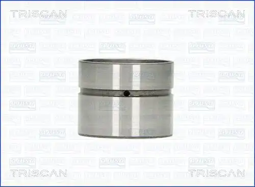 Гидрокомпенсатор TRISCAN 80-29008