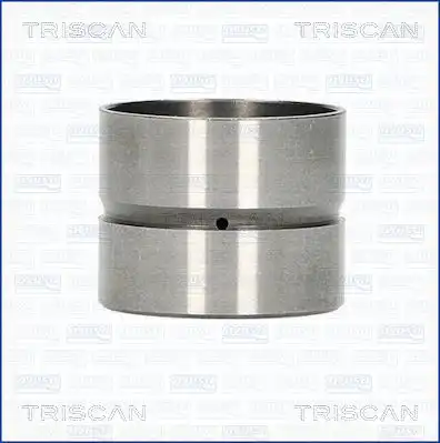 Гидрокомпенсатор TRISCAN 80-50001