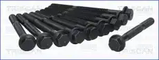 Болт головки блока цилиндра (ГБЦ) TRISCAN 98-2500