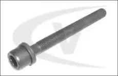 Болт головки блока цилиндра (ГБЦ) VAICO V10-2008