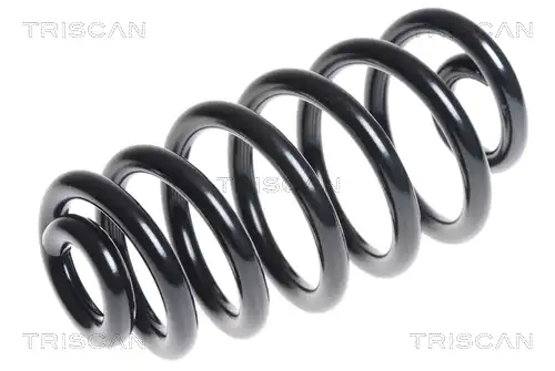 ПРУЖИНА ПОДВЕСКИ 875029326 TRISCAN