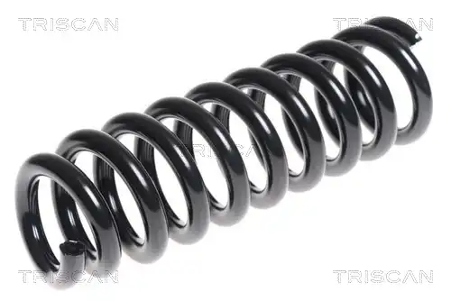 ПРУЖИНА ПОДВЕСКИ 875013177 TRISCAN