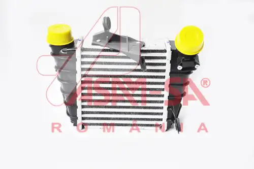 Интеркулер ASAM 32424