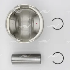 PN-51022 ПОРШЕНЬ 1.00 AUDI/VW 1.9D/2.4D AUTOWELT