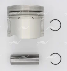 PN-51022 ПОРШЕНЬ 1.00 AUDI/VW 1.9D/2.4D AUTOWELT