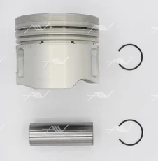 PN-51022 ПОРШЕНЬ 1.00 AUDI/VW 1.9D/2.4D AUTOWELT