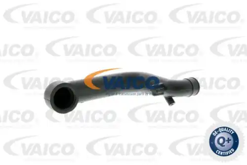 Шланг, вентиляция картера V300796 VAICO