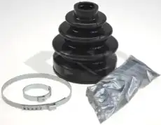 304035