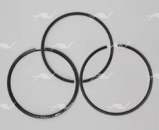 AUTOWELT RS-51001 d=