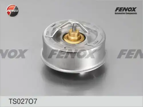 Термостат системы охлаждения FENOX TS027O7