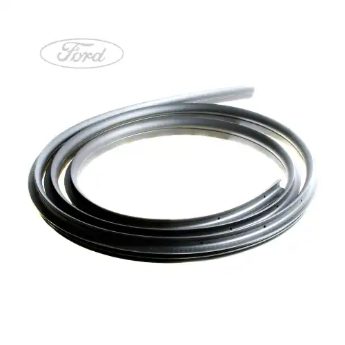 Уплотнитель двери FORD 1676973