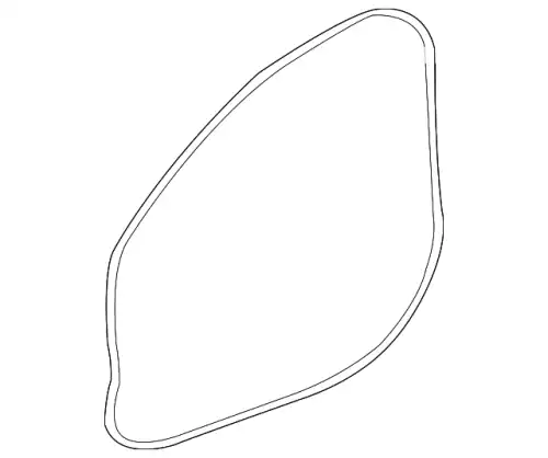 SEAL-DOOR C2D49133 JAGUAR