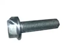Винт м6 13274849 GM