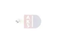 Осушитель кондиционера AKS DASIS 803780N