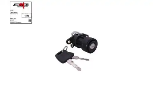 Ручка двери AUTOMEGA 100022110