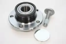 Ступица AUTOMEGA 110098910