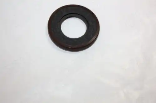 САЛЬНИК КОЛЕНВАЛА 190006010 AUTOMEGA