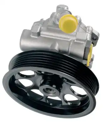 Насос гидроусилителя руля BOSCH K S00 000 577