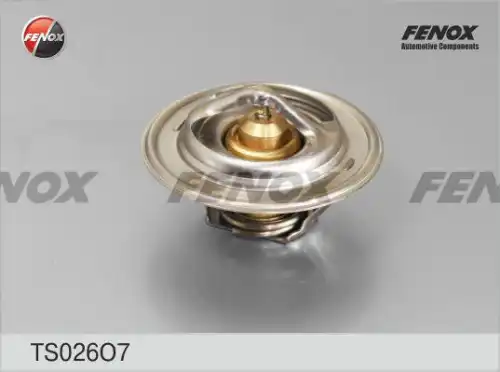 Термостат системы охлаждения FENOX TS026O7