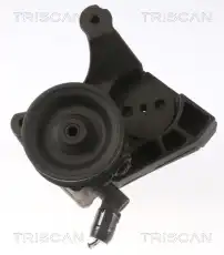 Насос гидроусилителя руля TRISCAN 851515639