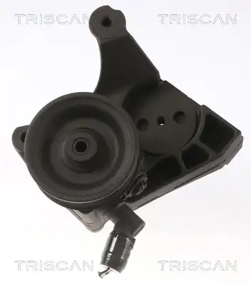 Насос гидроусилителя руля TRISCAN 851515639