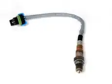 Лямбдазонд 12612430 BUICK