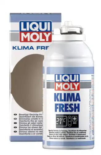 Очиститель кондиционера LIQUI MOLY 4065