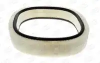 Фильтр воздушный CHAMPION CAF100229R