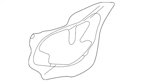 Уплотнитель двери HONDA 72361SNAA01